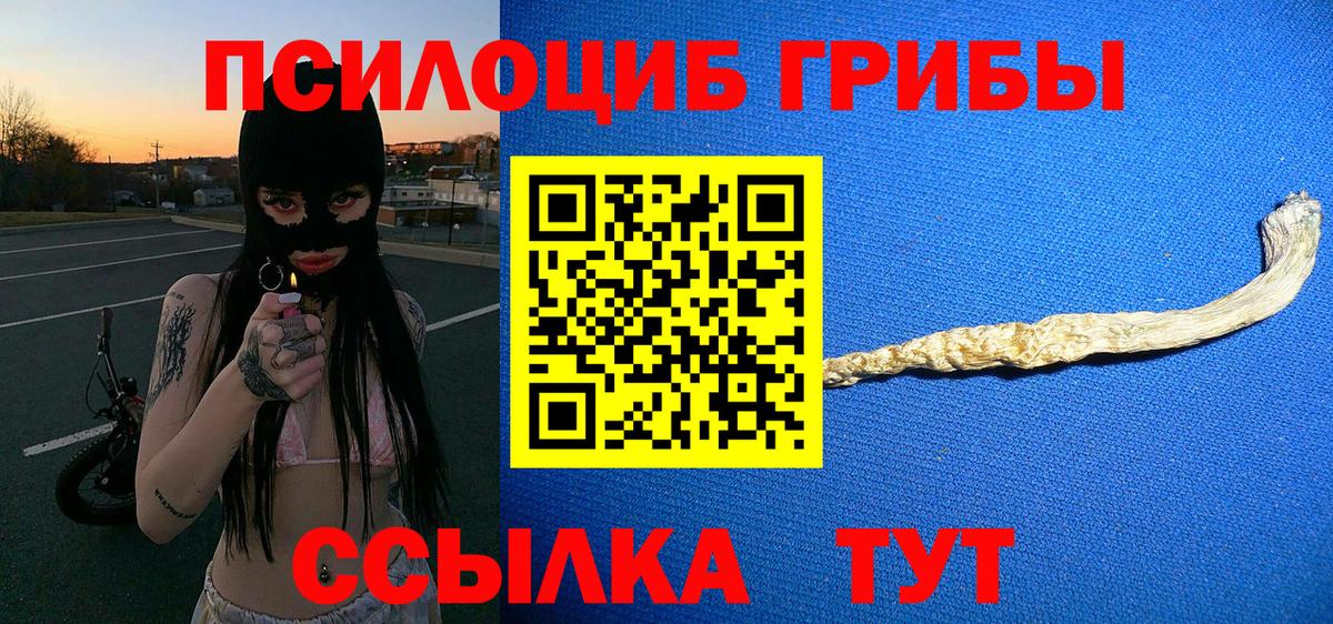 хочу   Вход с VPN  Гусиноозёрск  Псилоцибиновые грибы GOLDEN TEACHER 